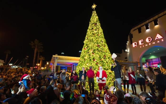 Christmas Tree Lighting Ceremony