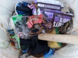 December Only Losers Litter Trash Clean Up Tom’s Famous Restaurant