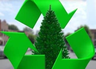 How to Recycle Christmas Trees in Vista