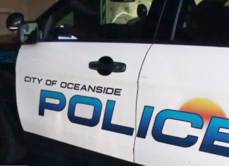 Four Arrested in Shoplifting Sting at Oceanside Target
