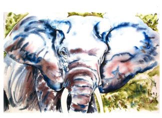 Civic Gallery Exhibition Features Artists Krista Timberlake and Richard Tanko