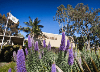 Carlsbad City Manager’s Update: Dec. 8, 2022