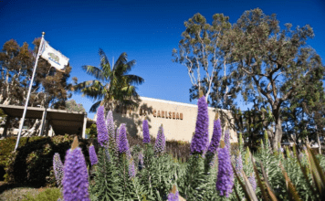 Carlsbad’s City Manager’s COVID Update, 2-11-21