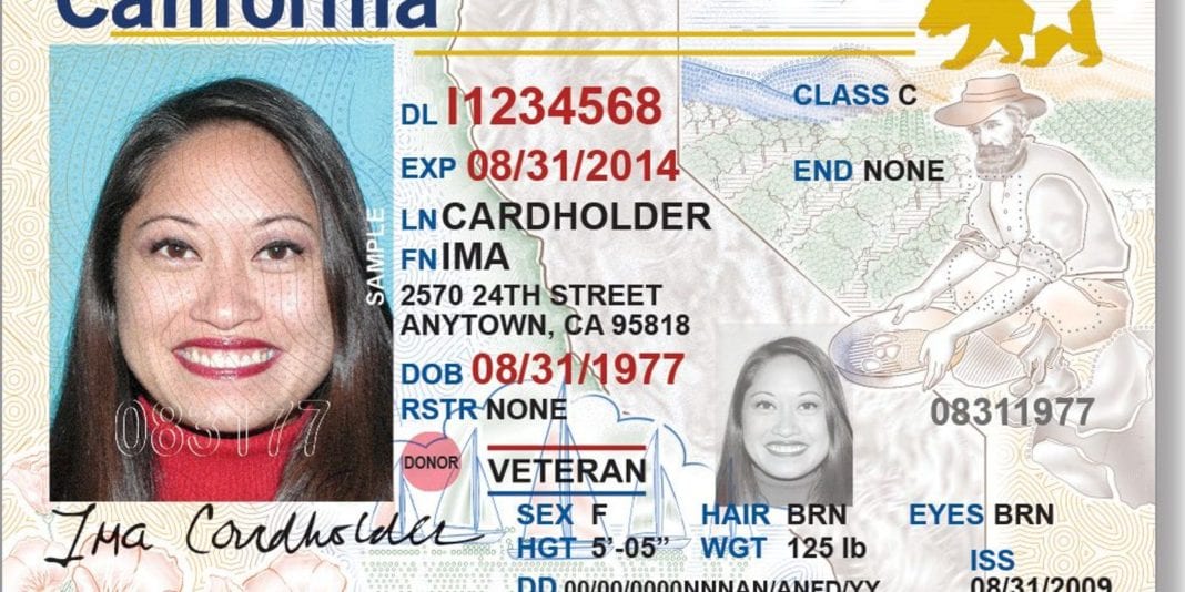 Flying Domestically? REAL IDs Will Be Required by October 1 North