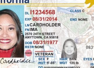 Flying Domestically? REAL IDs Will Be Required by October 1