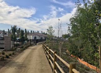 The Vista Conservancy Walking Trail Extension is Open