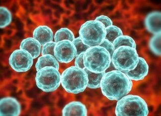 Protecting Public Health in California