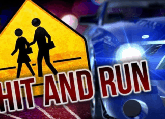 Hit & Run Collision – San Marcos Sheriff Wants Your Help in Solving Incident