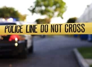 Vehicle vs. Pedestrian- Vista