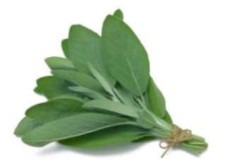 What Are the Benefits of Burning Sage