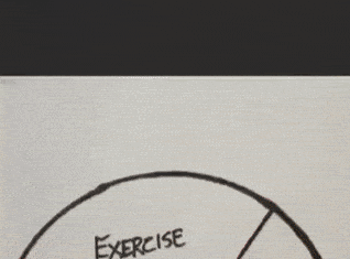 Quarantine Decision Making Wheel