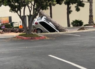 Vista Sewer Line Causes Sinkhole in Carlsbad