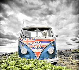 Art In The Village Brings You Something To Smile About