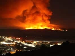 Preparing for Wildfire Disasters