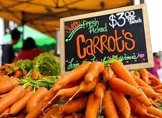 Oceanside Morning Farmers Market to Reopen as a No-touch Market May 21