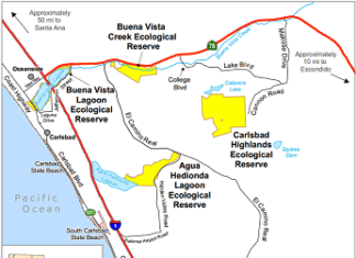 Stream Restoration Grant Awarded for Buena Vista Creek Improvements