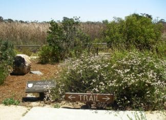 Vista City Council Votes 5-0 to Approve General Plan Amendment