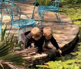 Alta Vista Botanical Gardens are Open