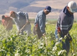 Supporting Farmworker Communities