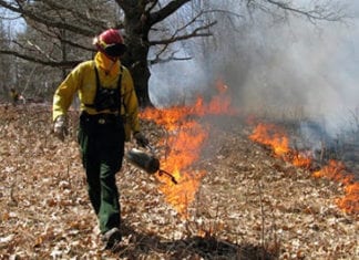 Camp Pendleton Conducts Prescribed Burn on May 30, 2020