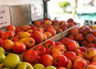 TODAY! Join us for the reopening of our Farmers Market in Oceanside