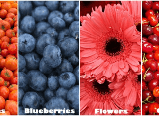 State Street Farmers’ Market Is Open For Business TODAY