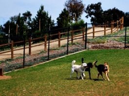 COVID-19 Update: San Marcos Public Counters and Parks & Recreation