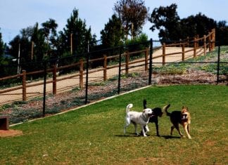 COVID-19 Update: San Marcos Public Counters and Parks & Recreation