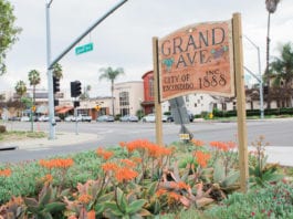 Escondido Mayor Paul McNamara Update on COVID-19 VIDEO