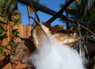 Kids in the Garden Class: Recycled Art