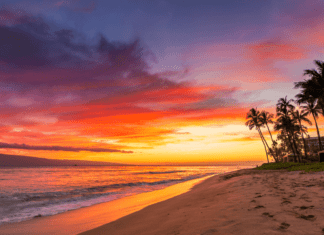 Maui Vista’s Sister