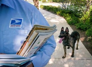 USPS Dog Bite Awareness Week June 14-20