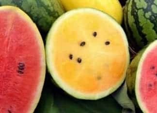 Carlsbad Farmers’ Market Today 3pm Watermelon Season Is Here