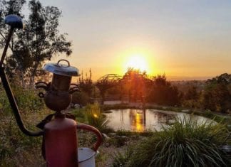 Successful July 4th Fundraiser at Alta Vista Botanical Gardens