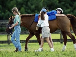 Horse Therapy for COVID-19 First Responders July 3rd
