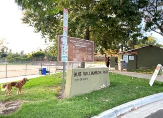 Bub Williamson Park Improvement Project the Park is Closed