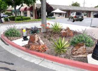 Work To Begin On Historic Downtown Landscaping Project