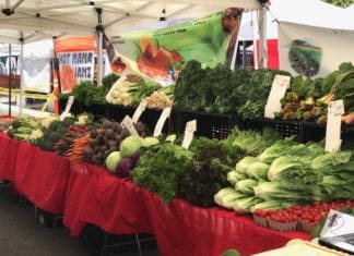 Feed Your Craving at the San Marcos Farmers Market