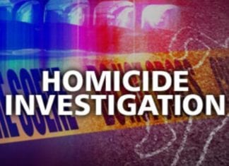 Homicide Investigation