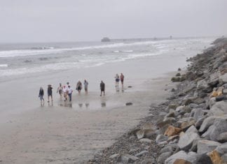 Beach Sand Replenishment / Retention