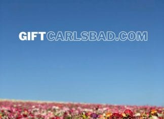 Don’t Miss Out On The Gift Carlsbad Program