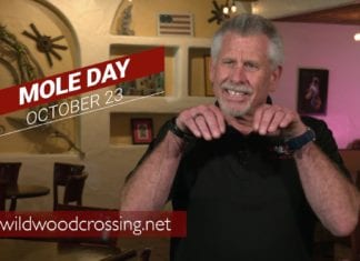 National Mole Day Video