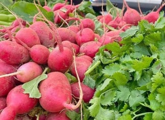 Health And Wellness At The Farmers’ State Street Market