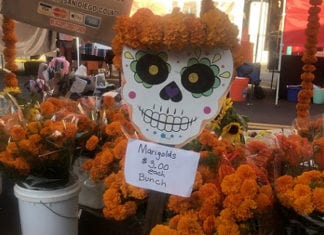 So Much To Find At The Farmers’ Market Every Wednesday