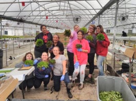 We Grow More Than Just Lettuce…