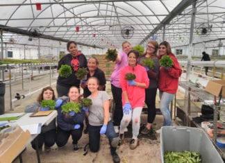 We Grow More Than Just Lettuce…