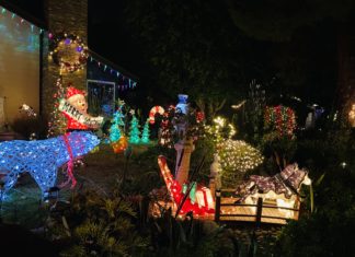 Beautiful Christmas Lights in Vista