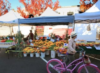 Enjoy An Afternoon At The State Street Farmers’ Market