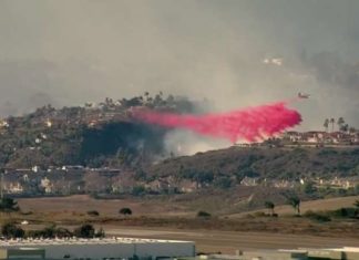 Spread Halted In Brush Fire In Carlsbad