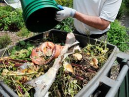 Oceanside Food Scraps Recycling 101 Save the Date